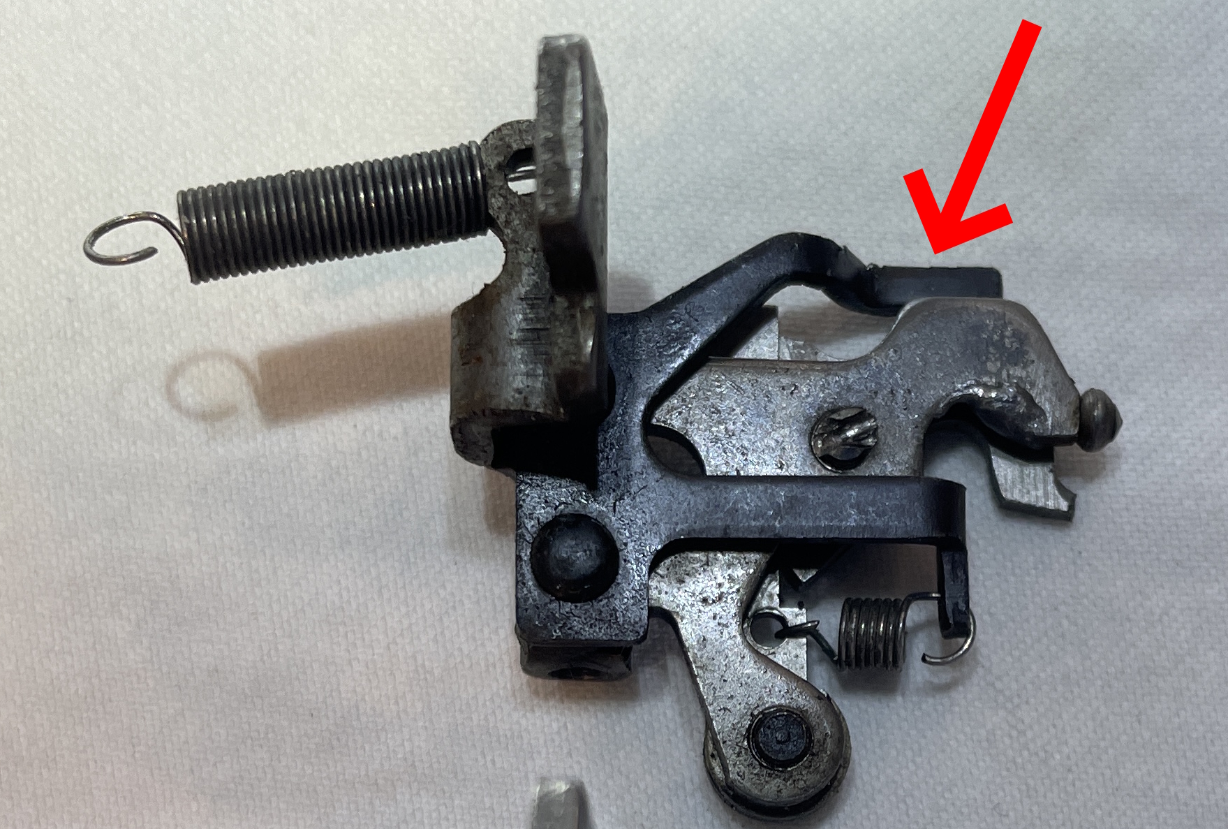 loose dog stop in a Royal Quiet De Luxe