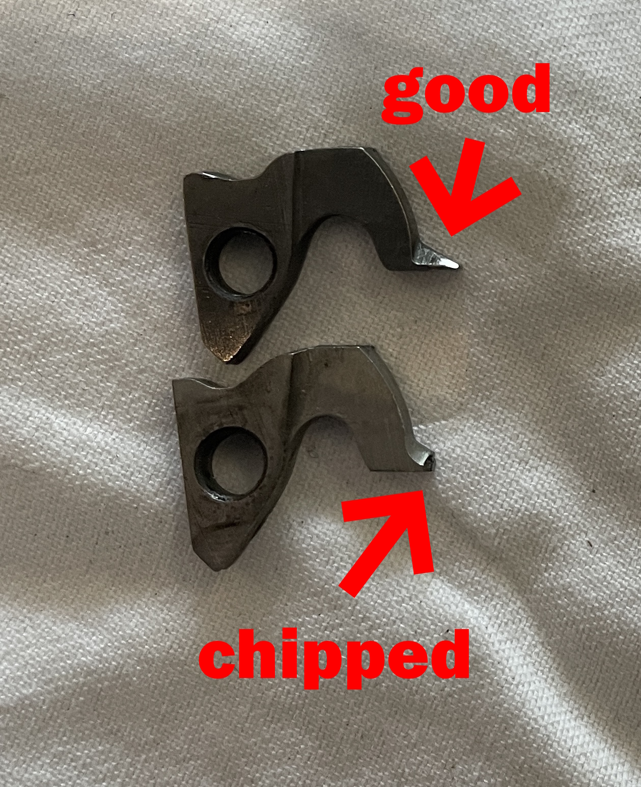 loose dogs: one intact and one with chipped tip