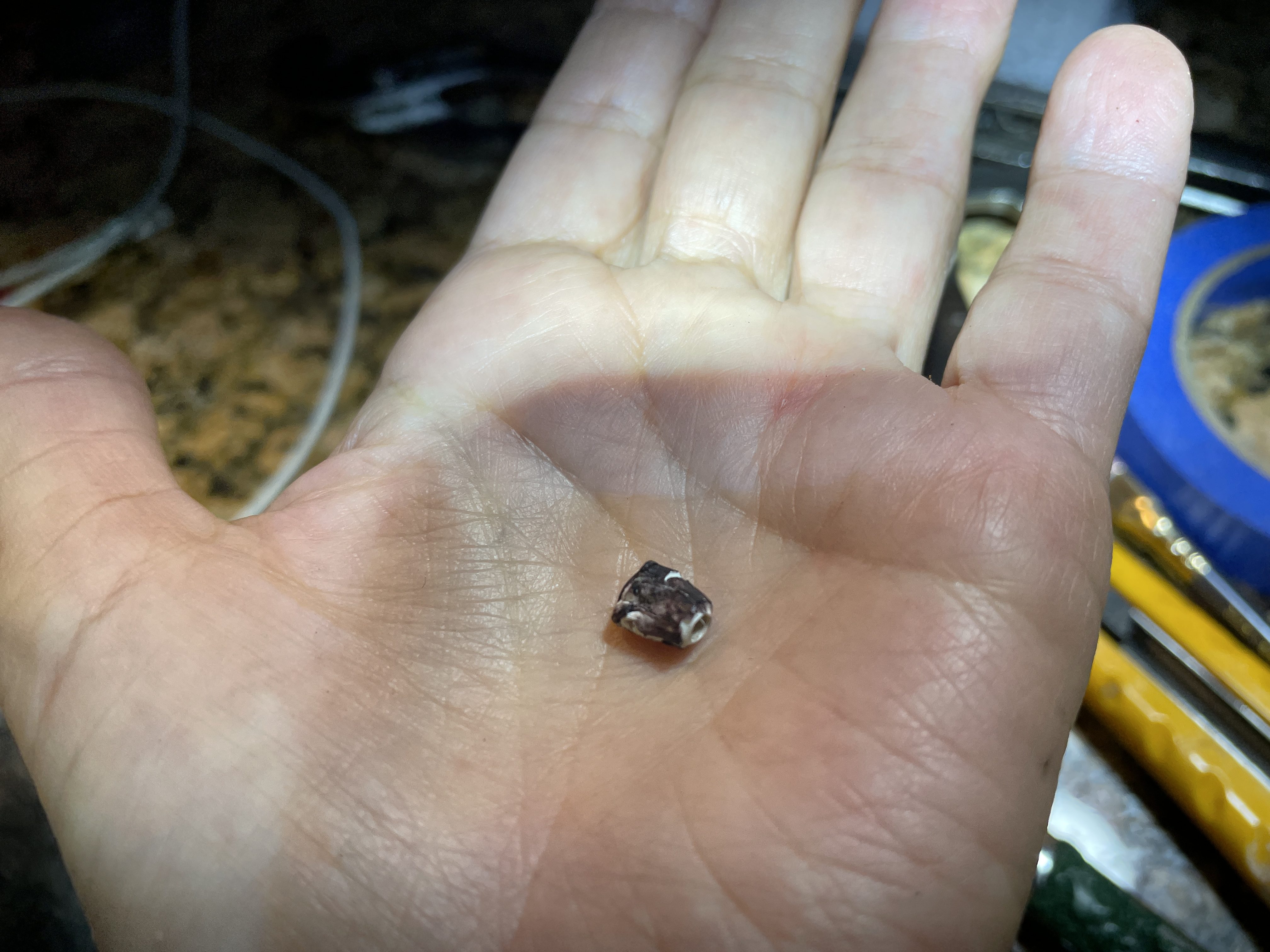 destroyed a plastic cap with vise grips