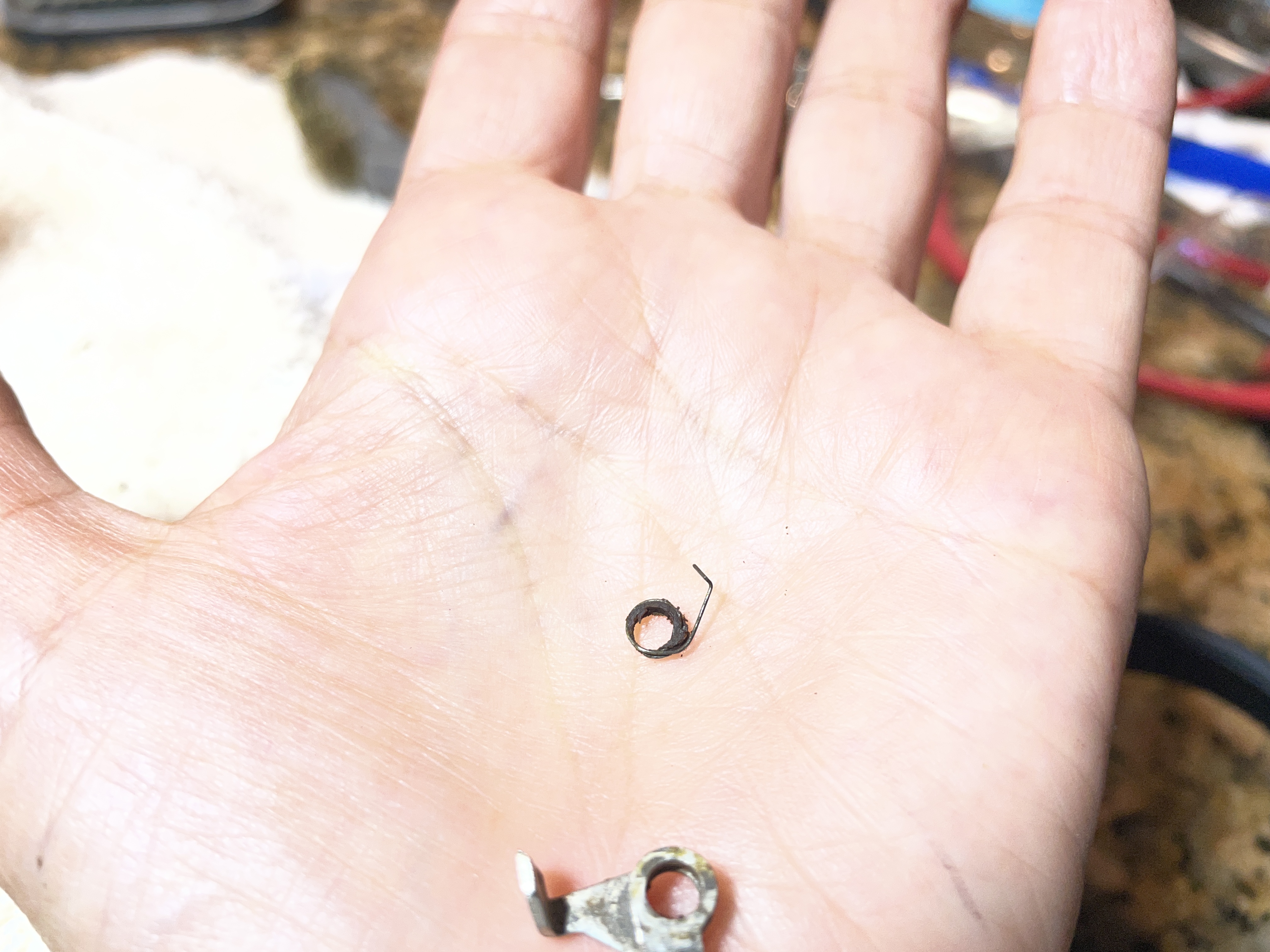 spring for ribbon feed pawl